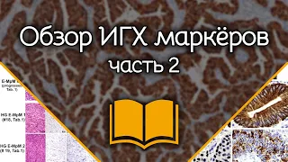 Общий обзор иммуногистохимических маркёров: Часть 2