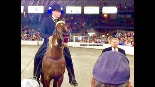 Bloody "Big Lick" Tennessee Walking Horse - Trainer BOYZ Specialty Classs - Sep. 4, 2020