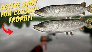 SUPER ACTIVE PIKE SPOT IN AMBER LAKE FOR CLOSING TROPHY! #512 Russian fishing 4