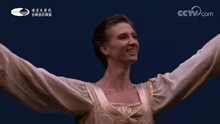 Tchaikovsky Pas de Deux - Lauren Cuthbertson & Vadim Muntagirov