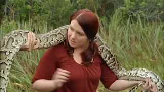 Highlight Reel - Animal Planet's Wild Obsession -Episode 12