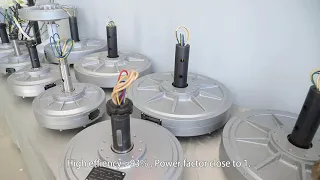 1kw 2KW 5KW 10KW coreless axial flux Low Torque alternative permanent magnet generator