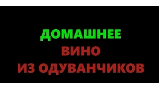 Вино из одуванчиков в домашних условиях - полный рецепт