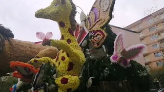 Carri infiorati x la Festa dei fiori 2024