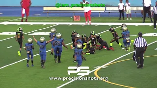 🔥🔥 YNC Championship Miami I Pac Prime Wolves 7U (TX)  vs. RDU (Red Dawg Unit) 2021