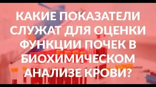 Какие показатели служат для оценки функции почек в биохимическом анализе крови?