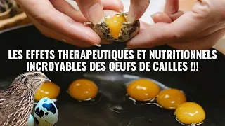 "Pourquoi devrais-tu manger 2 œufs tous les 2 jours ? Effets incroyables à dans ton corps!" #nature