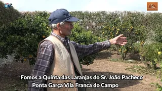 O Prédio do Sr.  João Pacheco Ponta Garça e Laranjeiras mandarinas e Nonas 2ª Parte