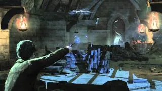 Harry Potter and the Deathly Hallows Part 2 Demo 12