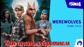 Sims 4 Как стать оборотнем