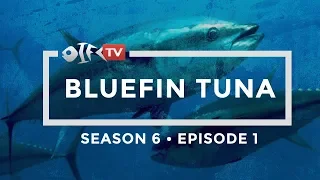 2019 Season 6 Bluefin Tuna Episode 1 of 2