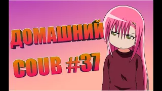 Домашний COUB #37