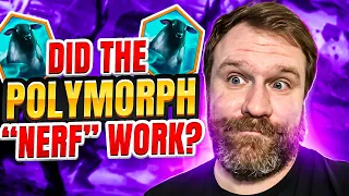 Did the Polymorph "Nerf" Actually Work? Let's Find Out! | Raid: Shadow Legends