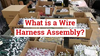 CABLE OR WIRE HARNESS ASSEMBLY