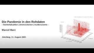 Die Pandemie in Rohdaten - von Marcel Barz