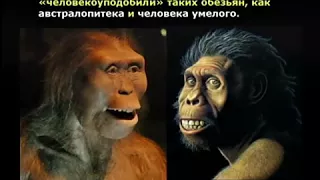 Креационизм и эволюция ч 2 последняя