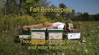 Fall Beekeeping Preparing for Winter Part 1