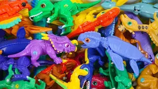 Dino Mecard New Tiny Saur  Einiosaurus and  Archelon Found! Dinosaur Toys for Kids | ToyMoon