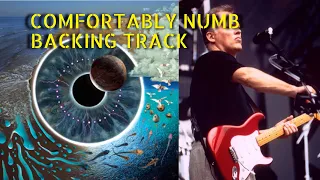 Comfortably Numb | PULSE | Backing Track Last Solo (With Audience)