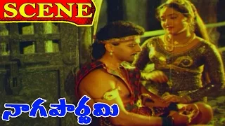 Naga Pournami Movie Scenes - Baba saves Ravi | Arjun | Radha | V9videos