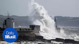 Storm Ophelia: One dead as Ireland battered by strong gusts - Daily Mail