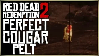 HOW TO GET A PERFECT COUGAR PELT - RED DEAD REDEMPTION 2 PRISTINE COUGAR HUNT