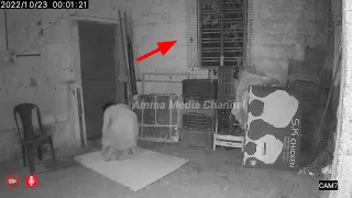 ghost that throws the most horrible real ghost stuff cctv camera footage