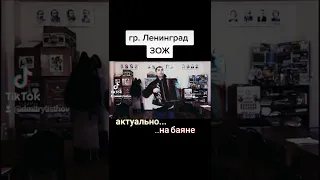 группировка Ленинград - ЗОЖ (кавер баян)