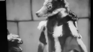 Cinemafanatic Quickies: Story of the Fox (1930 Furry Movie) Review