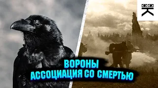 Почему вороны ассоциируются со смерtью?