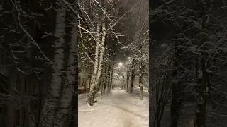 Снег .снег зима❄️