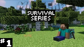 A New Journey | Minecraft Survival Episode 1 | #1