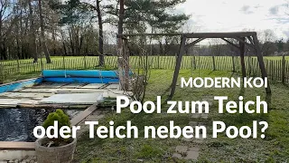 Diese Optionen haben Juli und Sebastian für ihren Umbau | Modern Koi Blog #6573