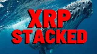 The Rich Have STACKED 3.17 BILLION XRP IN RECENT MONTHS