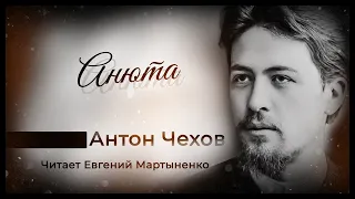 Антон Чехов | Анюта | Читает Евгений Мартыненко