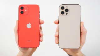 iPhone 12 или iPhone 12 Pro / В чем разница?