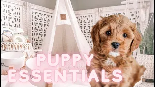 PUPPY ESSENTIALS YOU NEED! / everything I bought for my CAVAPOO puppy! @cavapootheo