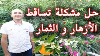 أسباب و حلول تساقط أزهار و ثمار الاشجار, حل مشكلة تساقط الازهار و الثمار, To Avoid Flowers Dropping