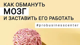 Как обмануть мозг и заставить его работать