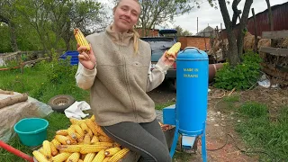 Майже Фінал..💪 Боронуємо город🚜 та ламаємо гектар кукурузи руками!🤯🌽🤲