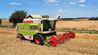 Moisson Blé 2023 Claas Dominator 98 VX et Massey Ferguson 7720