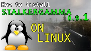 How to run Stalker GAMMA 0.9.1 on Arch Linux