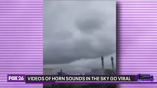 Horns in the sky video goes viral