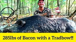 285lb Wild Boar Killed with a Recurve!!!