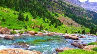 Relaxing Nature Ambience Meditation 🌳Healing Sounds of a Lovely SPRING Sunny Day in a Mountain RIVER