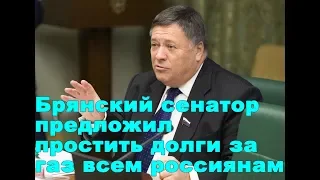 Брянский сенатор предложил простить долги за газ всем россиянам