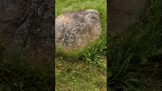 Radioactive Rock in the Neighborhood