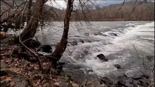 Day 39 & 40 Appalachian Trail Thru-Hike. Hot Springs, NC to Spring Mountain Shelter to Log Cabin Rd.