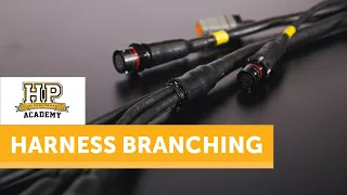 It's So Easy To Get This Wrong | Wiring Harness Branching [#FREELESSON]