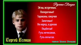 Песнь о Великом походе —  Сергей Есенин — читает Павел Беседин